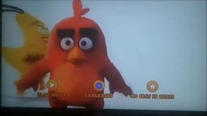 DVD Opening to The Angry Birds Movie UK DVD