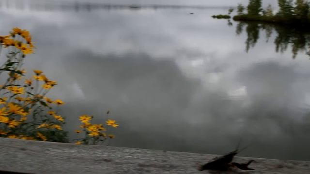 В беседке рядом с баней смотреть онлайн