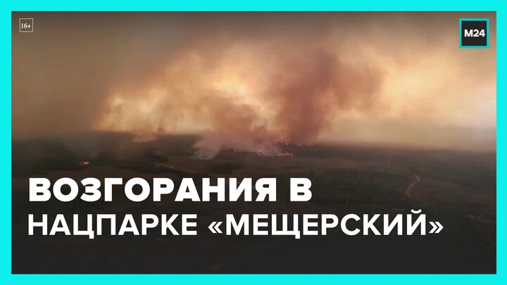 В Рязанской области пять очагов возгорания в нацпарке "Мещерский" - Москва 24