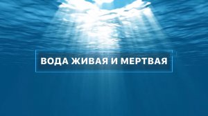 Вода. Вместе с наукой