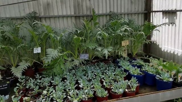 франция/День Открытых Дверей /Заповедник Растений/Продажа и цены