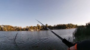 Самый большой Судак! Ловля Судака с Берега.