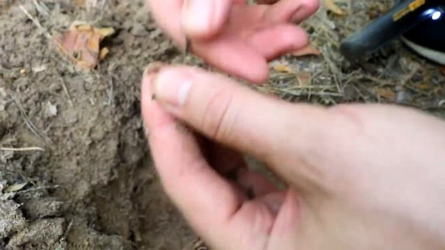 ЧТО МОЖНО НАЙТИ МЕТАЛЛОИСКАТЕЛЕМ ЗА 2000$ В ЗАБРОШЕННОЙ ДЕРЕВНЕ И ЛЕСУ - НАШЛИ ПИСТОЛЕТ! смотреть онлайн