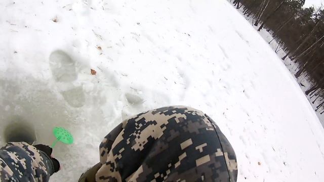 Рыбалка на реке Пехорке ! Новые места ! смотреть онлайн