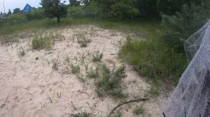 Рыбалка кастинговой сетью на МАЛОЙ РЕКЕ #2 прикормил и сразу получил результат.