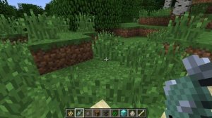 Как приручить оцелота(КОШКУ) в майнкрафт! Без модов!