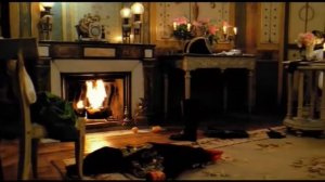 НАПОЛЕОН Павел Кашин Жозефин