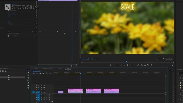 How to Save, Remove, Export and Import effect PRESETS in Premiere Pro