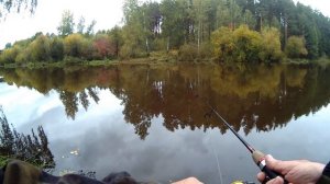 Рыбалка на реке Тура. Маловато будет!