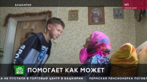 На папей