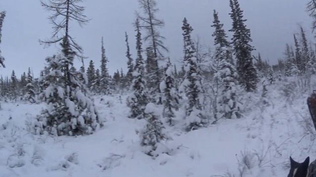 промысел 2021 2022 часть 3