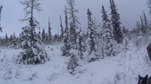 промысел 2021 2022 часть 3