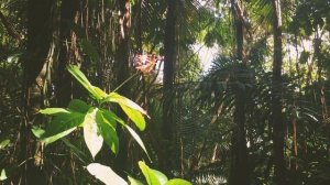 Путешествия с Photravel. Сан Хуан. Пуэрто Рико