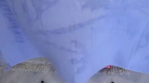 Видеообзор монитора для офиса GW2785TC от блогера Lena Volh