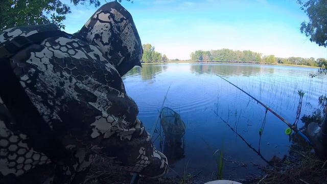 СПАСАЕМ РЫБУ ИЗ ЛУЖИ! Feeder Fishing | ЛОВЛЯ ЛЕЩА НА ФИДЕР В ИЮНЕ 2021 | Рыбалка на Фидер