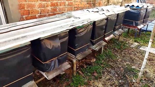 Начало полноценных облетов