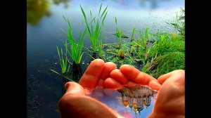 АЛЕКСАНДР СТАРОСТЕНКО ПОКАЯНИЕ.