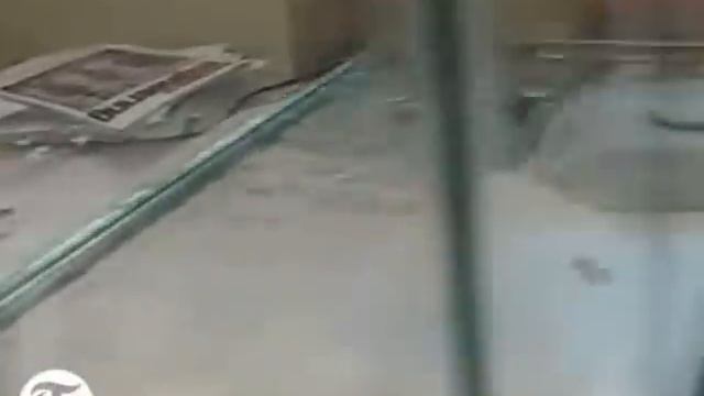 Робот-водомерка пошел по воде! смотреть онлайн