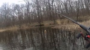 Щука начинает брать весной на джерк