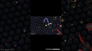 slather.io - игра про червячков