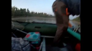 Рыбалка с лодки. Судак на малька. Лето. Мат.