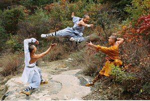 CHOJ 1.avi древний и забытый стиль рукопашного боя чой(змеи) вид