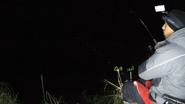 ПОЧЕМУ я раньше не добавил это.. Ловля леща осенью на фидер. Западная Двина. смотреть онлайн