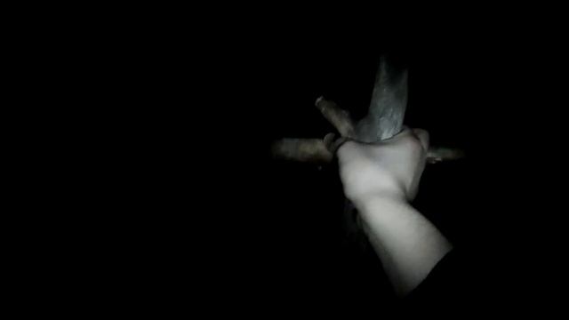 Сизов и Сверхъестественное (пудель Эдгар)#2 смотреть онлайн