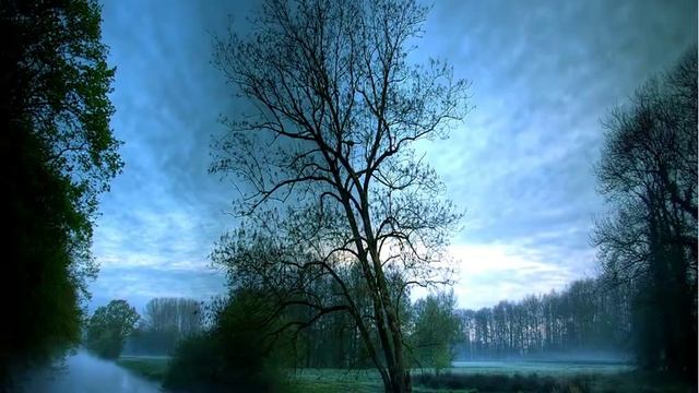 Оксана Ранцева Песня отца Оксаны.pptx.mp4 смотреть онлайн