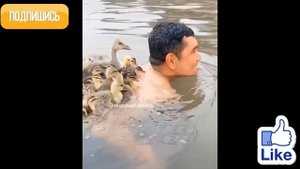 Смешные животные 68