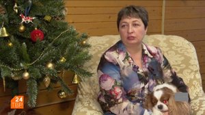 Собака без недостатков кавалер-кинг-чарльз-спаниель | Элита | Сергиев Посад