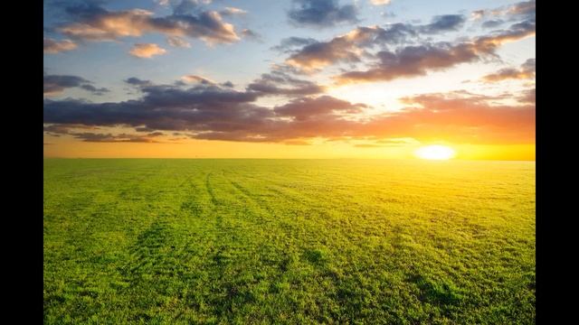 Как выйти из системы рабства ? смотреть онлайн