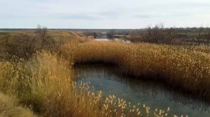 Ставропольская "Подкова". Излюбленное место рыбаков. Река Егорлык. Съемки с дрона.