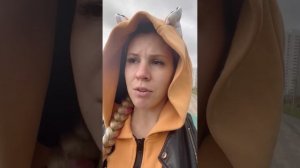 Как приучить буйную собаку оставаться одной в квартире. Собака не может оставаться одна, что делать