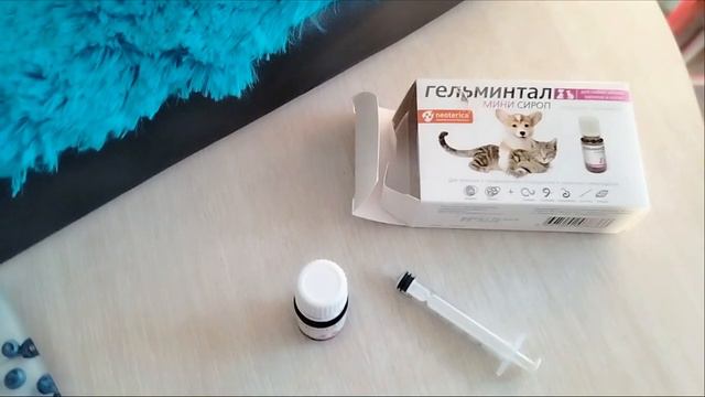 Дегельминтизация щенка. Чем обработать щенка от глистов?
