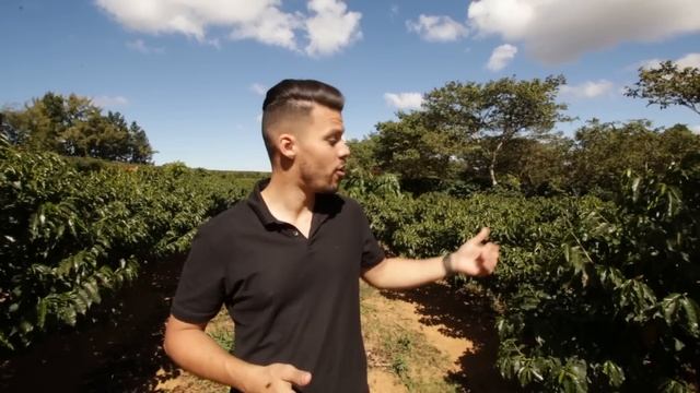 Exploring Brazilian Coffee at Daterra Coffee Farm | European Coffee Trip смотреть онлайн