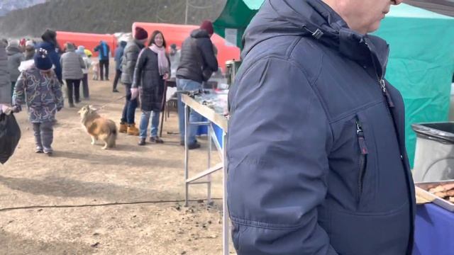 СЕМЬЯ ЖУКОВЫХ?/8 марта 2023 г. смотреть онлайн