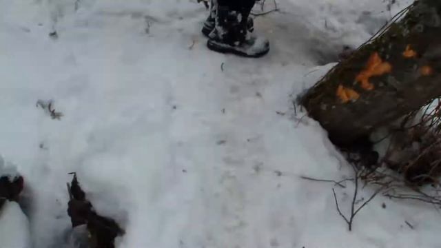 Столовая бобра смотреть онлайн