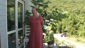 Цифровой рубль. Наталья Шведова. Семинар от13-08-23