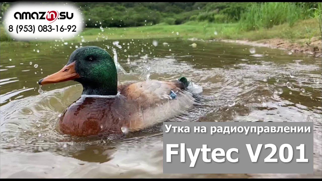 Плавающая утка для охоты на озере Flytec V201 смотреть онлайн