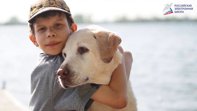 Volunteer work смотреть онлайн