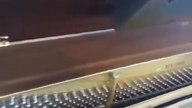 Yamaha u1 mx100 player piano disklavier for sale смотреть онлайн