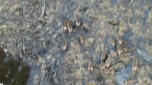 Республика Дагестан Цунтинский район село Хутрах#охота#горы#туризм2023г