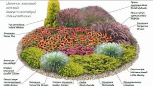 Схема Клумба-цветник злаковый