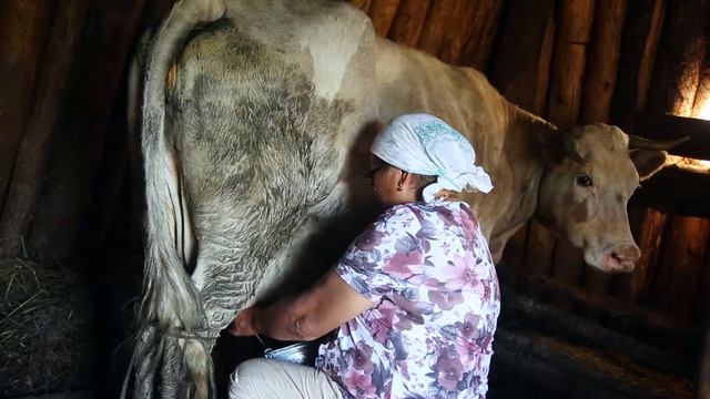 Бестях -  родина Романа Дмитриева