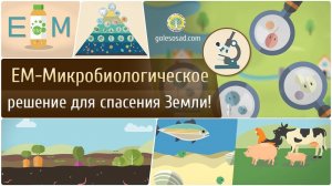 ЕМ - микробиологическое решение для спасения Земли!
