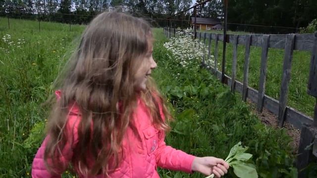 VLOG с дачи ☁ Страусиная ферма смотреть онлайн