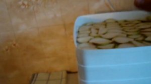 Как работает сушилка Ротор Дива-люкс