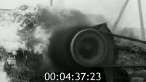 Солецкий район, Колхоз «Красный Октябрь, овцеводческий комплекс (1976 год)