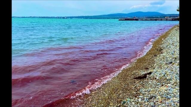 Видео: Шок на Черном море. Лето 2021. Вода стала кроваво-красной. Что делать отдыхающим. Макрофиты